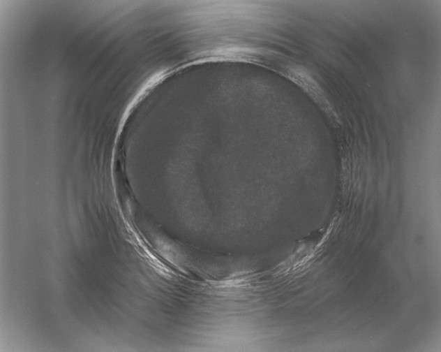 X0000061141180200512022239