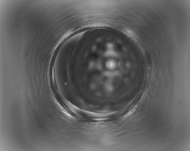 X0000061141181200512022239