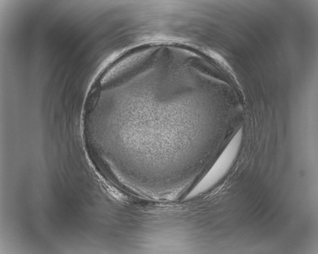 X0000061141183200512022239