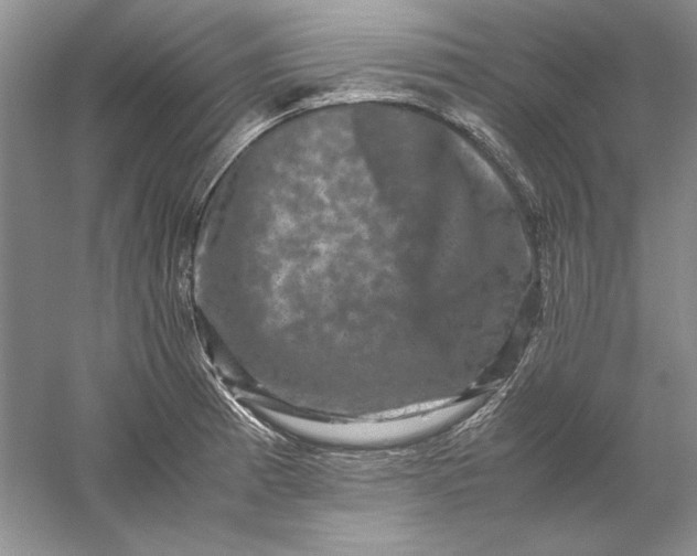 X0000061141185200512022239