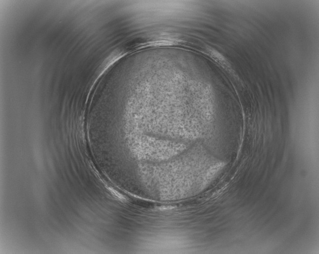 X0000061141186200512022239