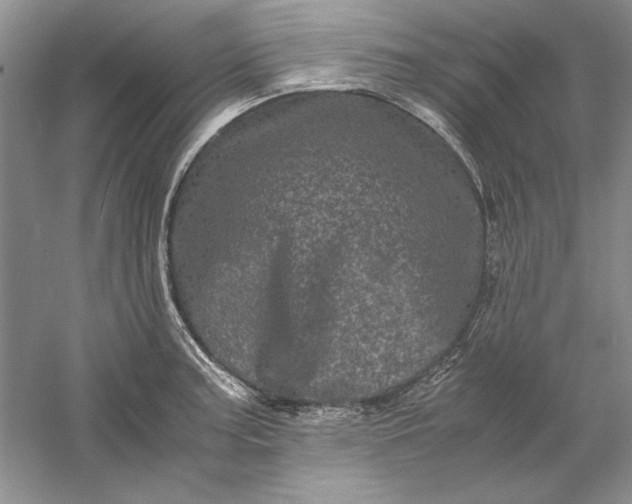 X0000061141187200512022239