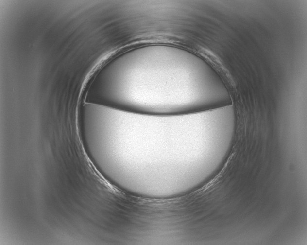 X0000061141188200512022239