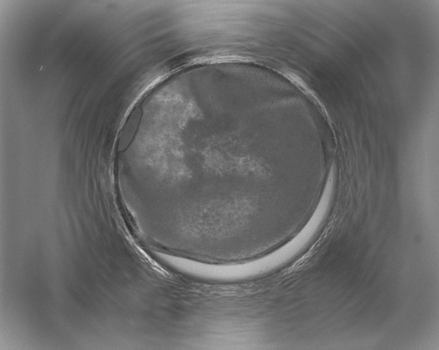 X0000061141189200512022239