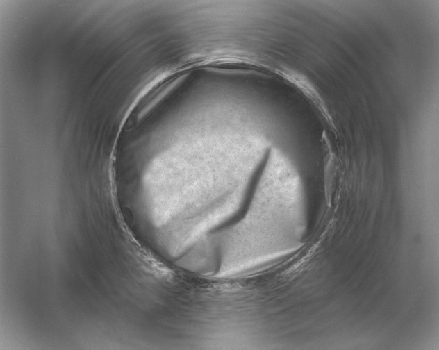 X0000061141190200512022239