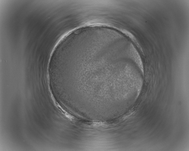 X0000061141191200512022239