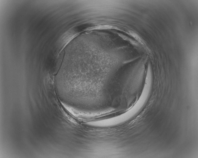 X0000061141193200512022239