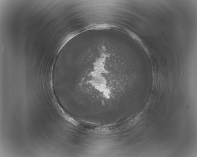 X0000061141194200512022239