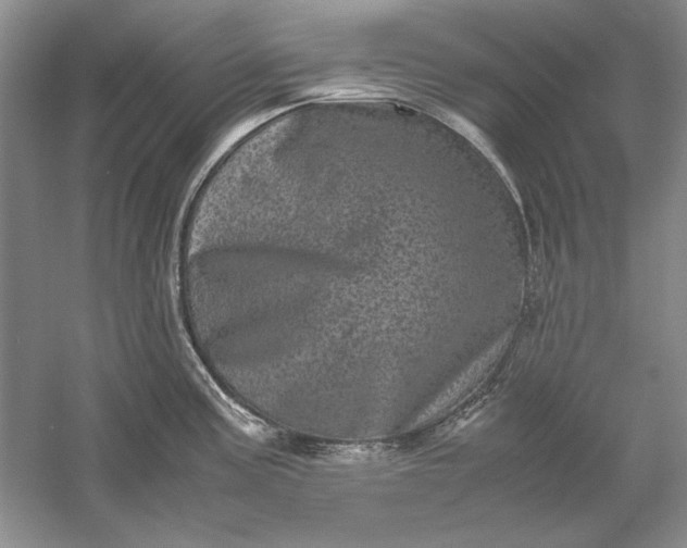 X0000061141195200512022239