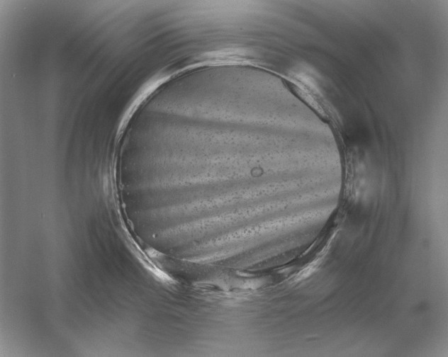 X0000061141196200512022239