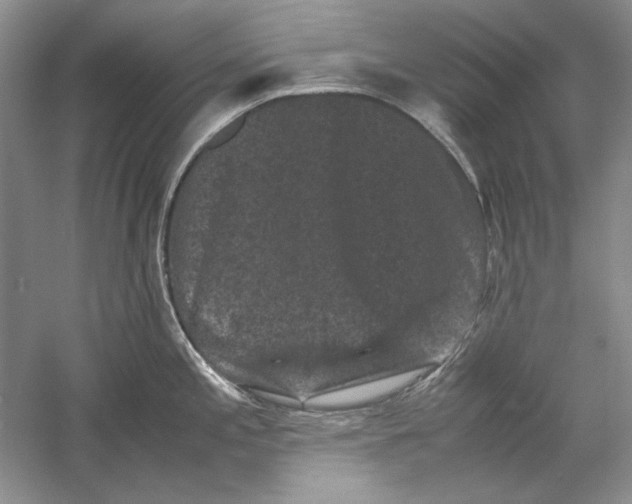 X0000061141197200512022239