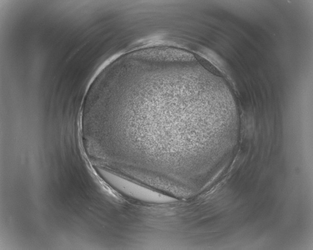 X0000061141198200512022239