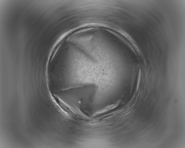 X0000061141199200512022239