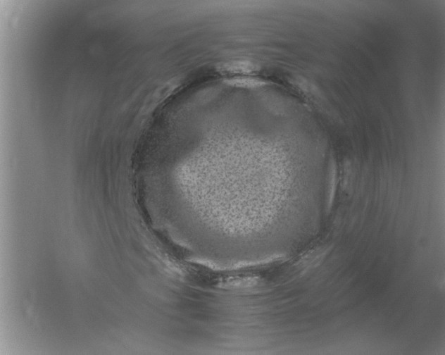 X0000061141201200512022238