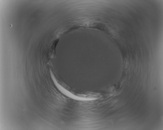 X0000061141202200512022238