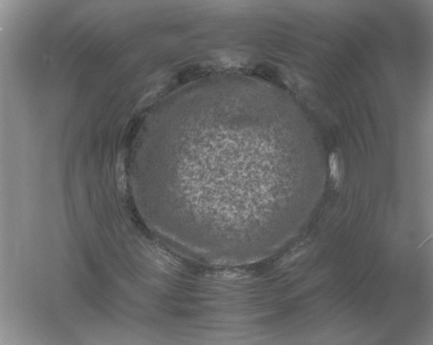 X0000061141203200512022238