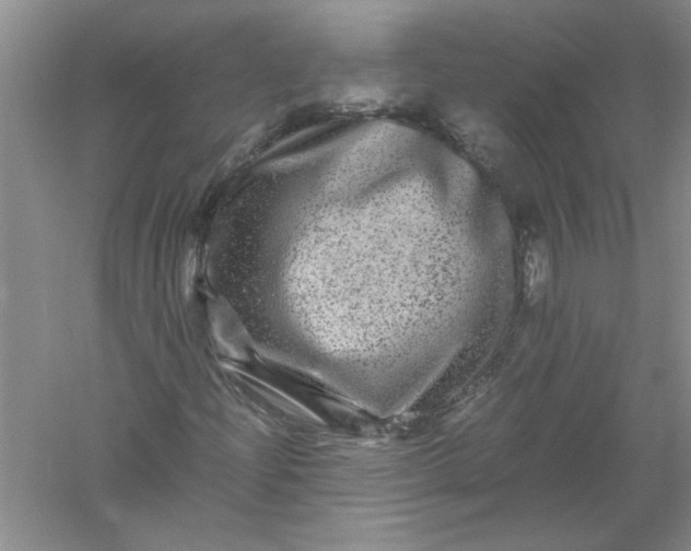 X0000061141204200512022238