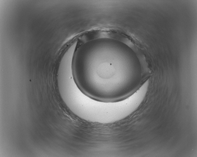 X0000061141206200512022238