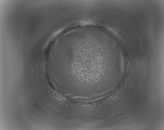 X0000061141207200512022238