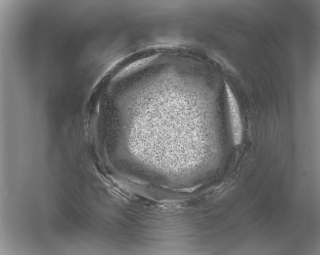 X0000061141208200512022238