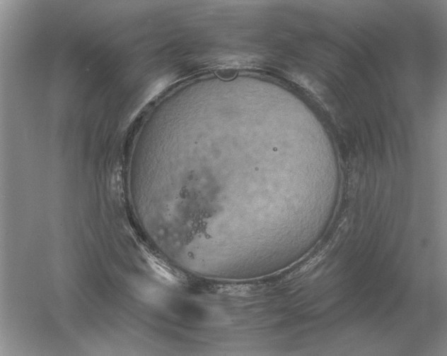 X0000061141211200512022238