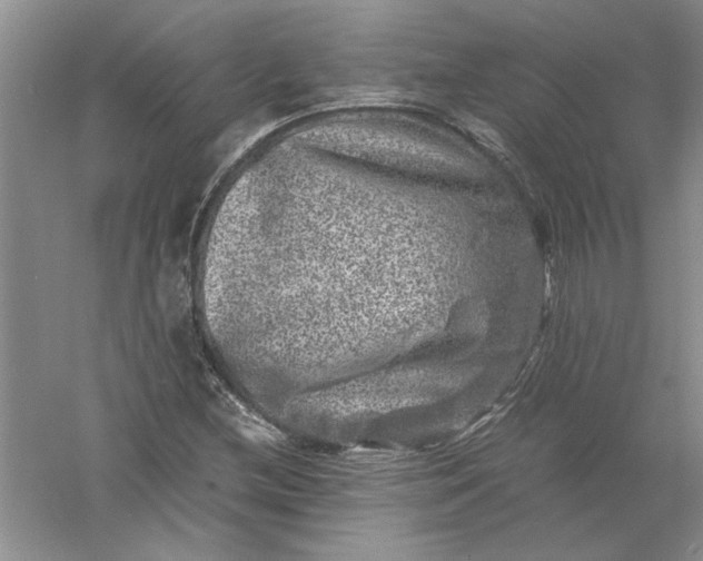 X0000061141212200512022238