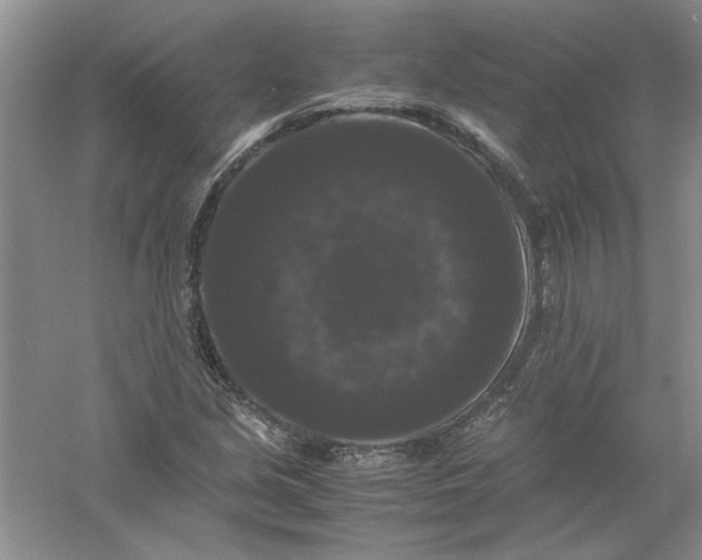 X0000061141213200512022238