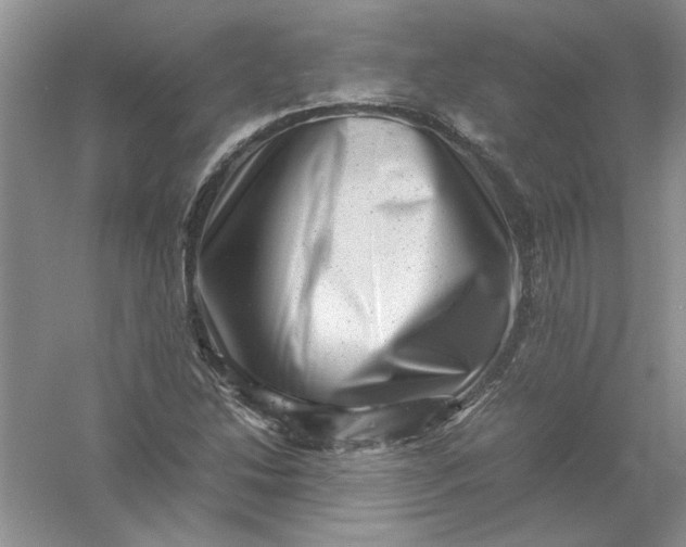 X0000061141214200512022238