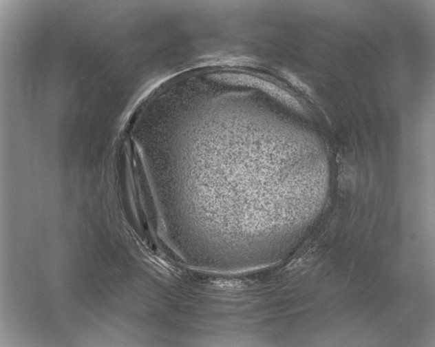 X0000061141215200512022238