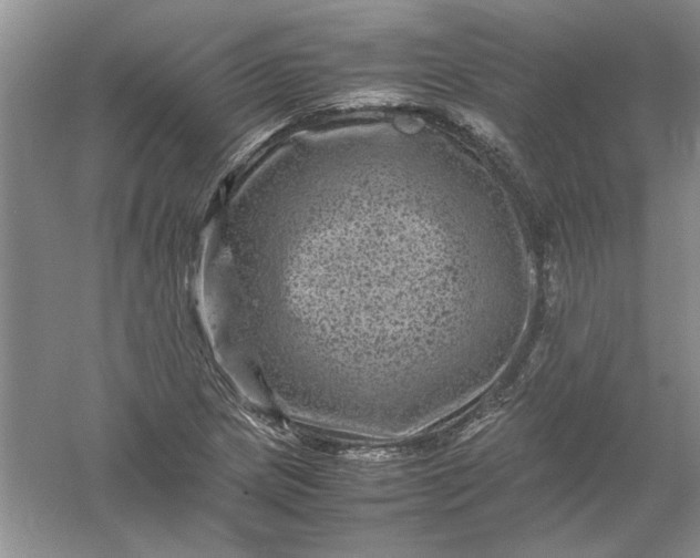 X0000061141217200512022238