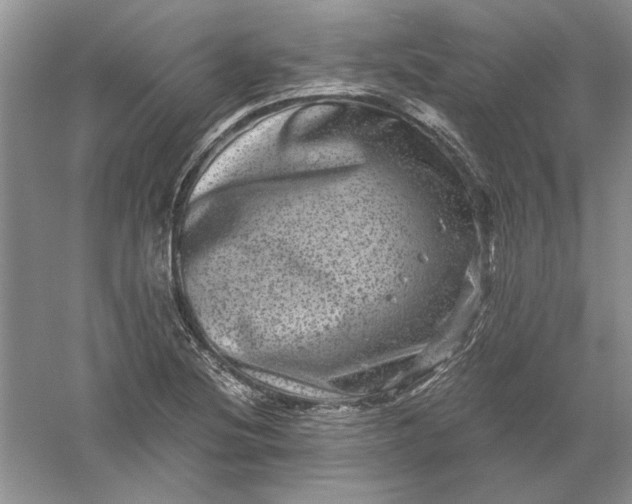 X0000061141220200512022238