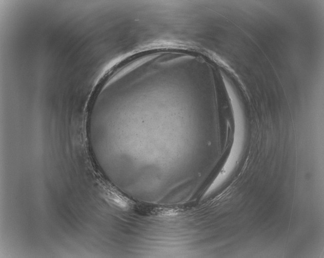 X0000061141222200512022238