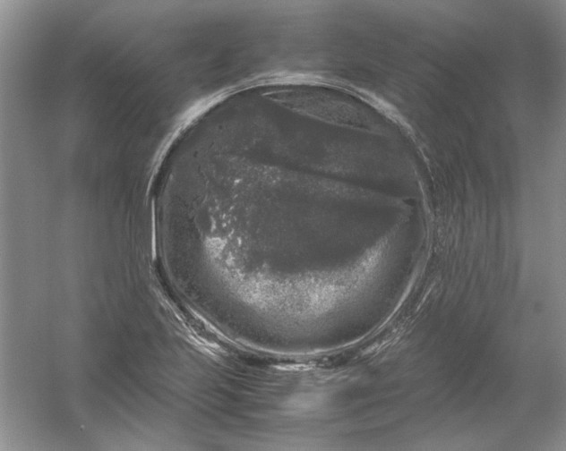 X0000061141223200512022238