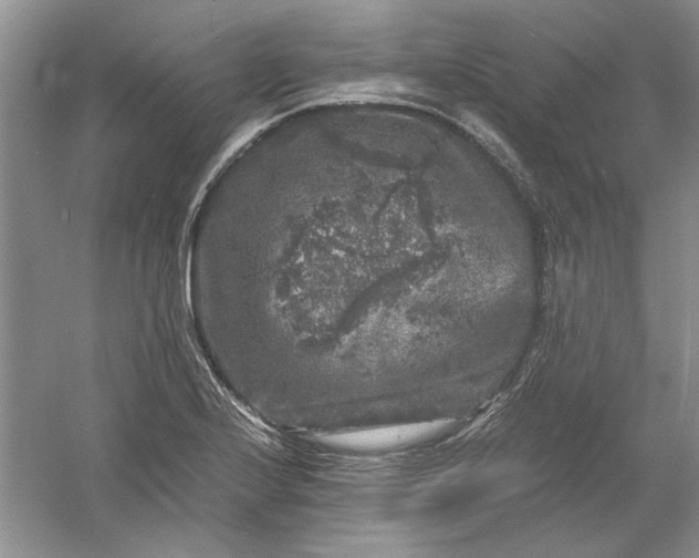 X0000061141224200512022238