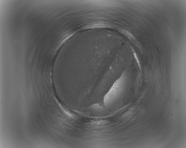 X0000061141225200512022238