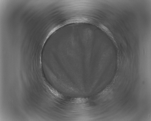 X0000061141226200512022238