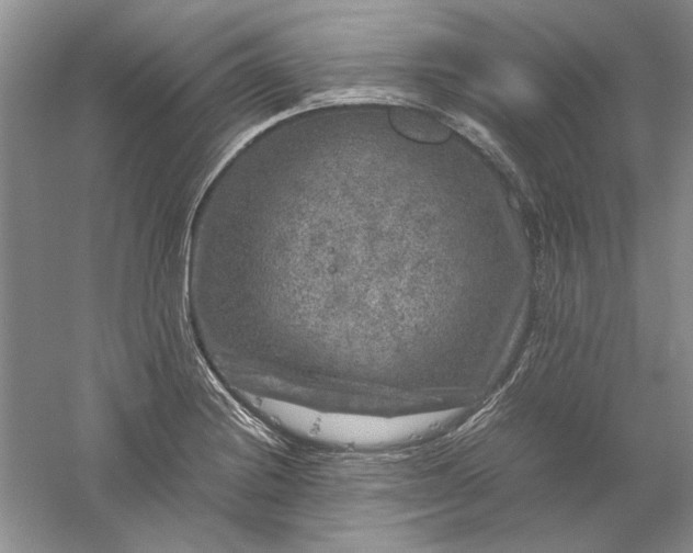 X0000061141228200512022238