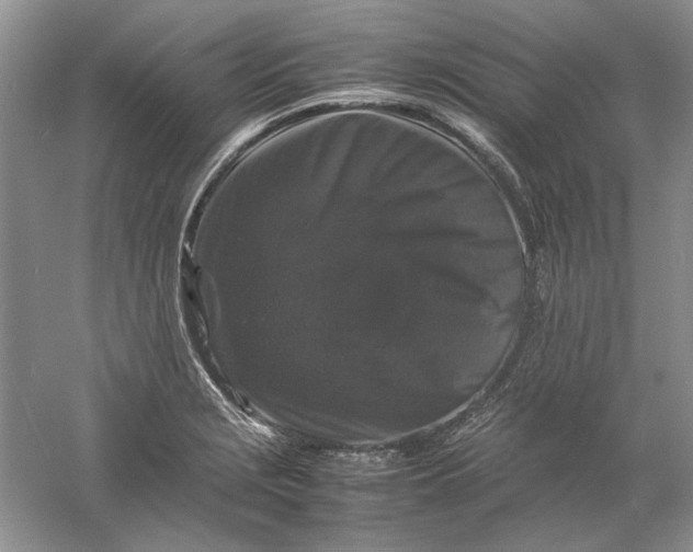 X0000061141229200512022238