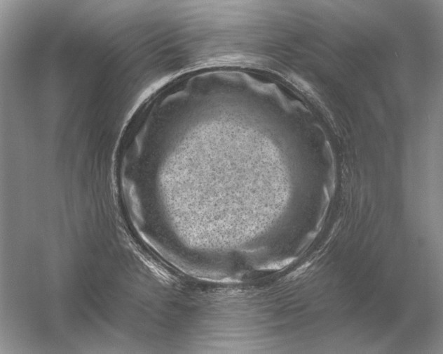 X0000061141230200512022238