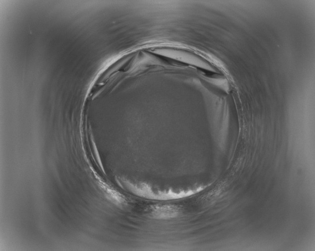 X0000061141231200512022238