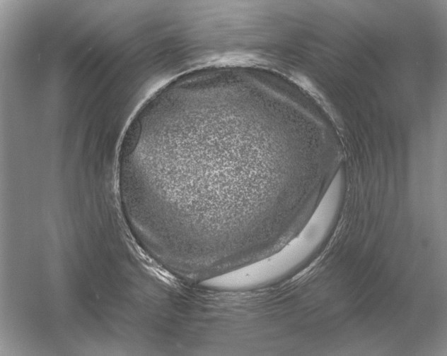 X0000061141232200512022238