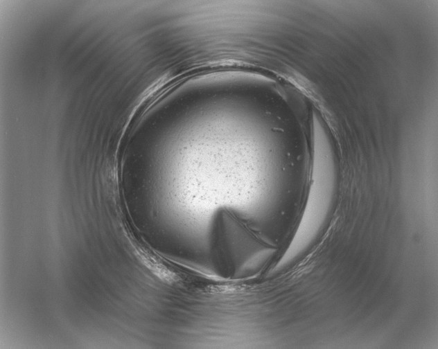 X0000061141234200512022238