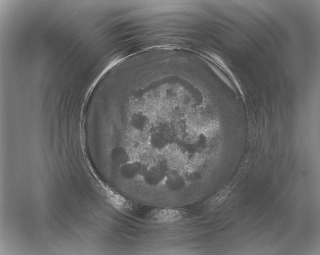 X0000061141235200512022238