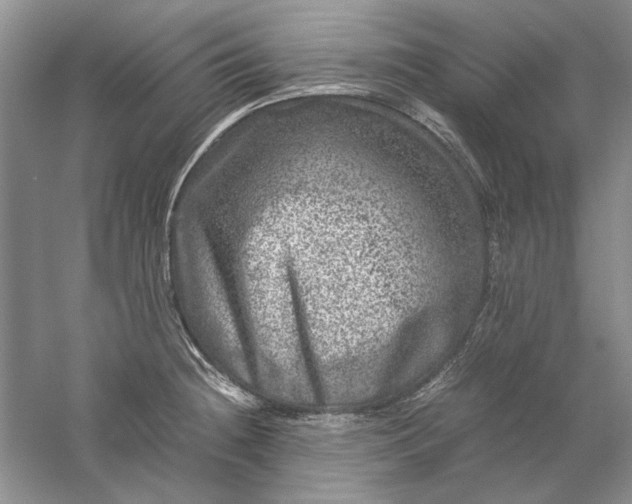 X0000061141236200512022238