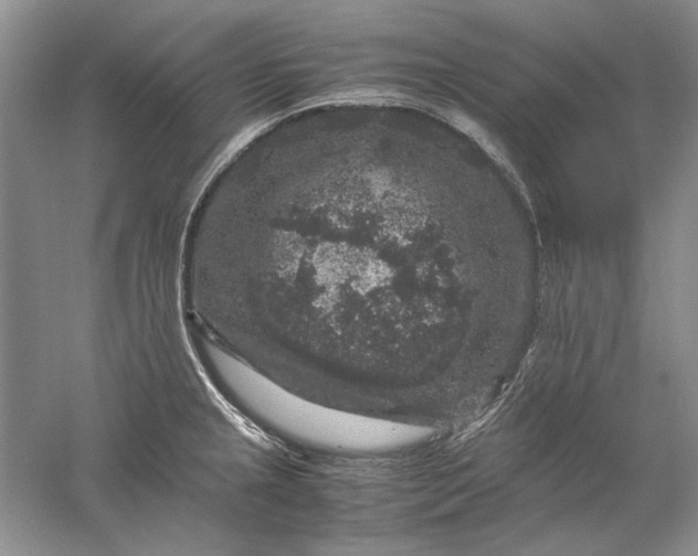 X0000061141237200512022238