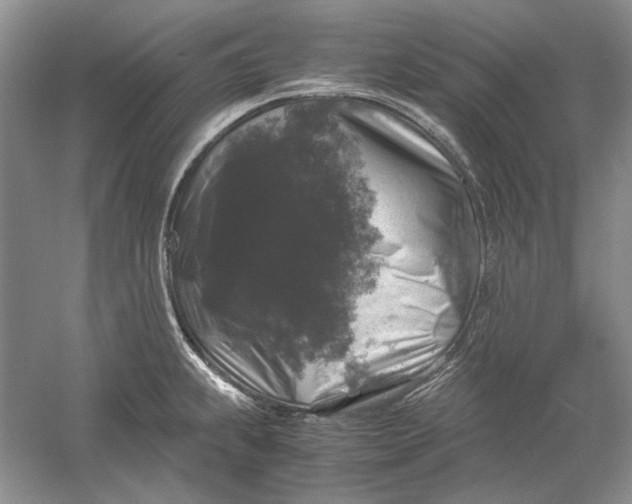 X0000061141239200512022238