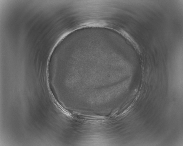 X0000061141240200512022238