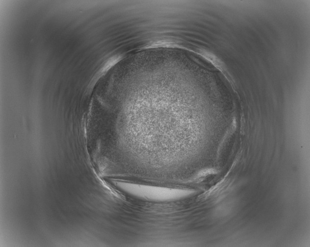 X0000061141241200512022238