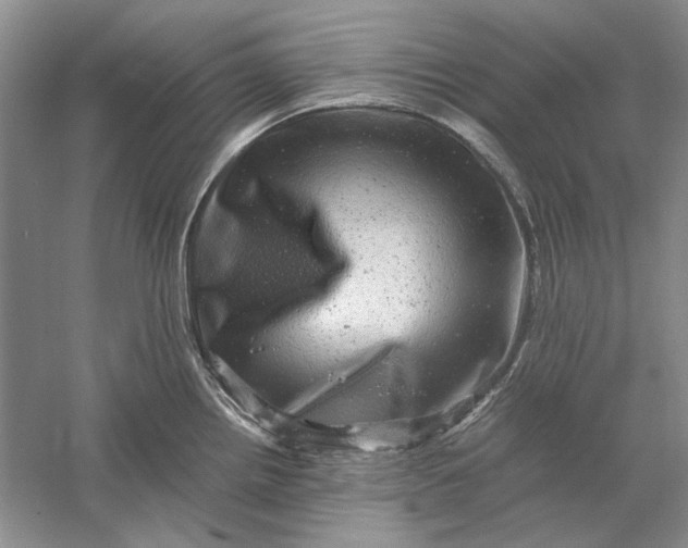 X0000061141242200512022238