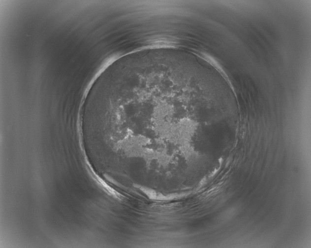 X0000061141243200512022238